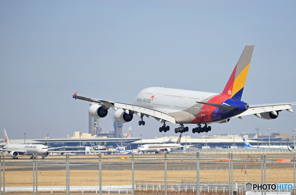 「令和」 Asiana A380-841 HL7625 記念