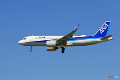「青空」 ANA A320 neo JA211A 着陸