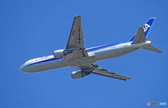 「SKY」 ANA 767-381 JA617A
