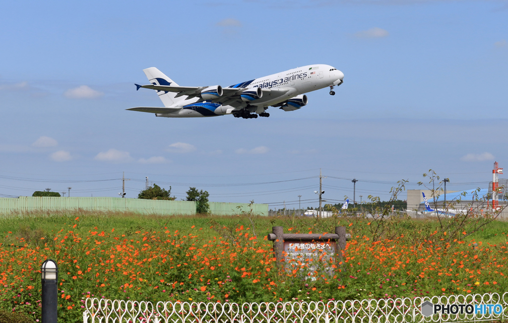 「良い天気」 Malaysia A380-841 9M-MNE Takeoff 