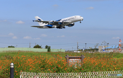 「良い天気」 Malaysia A380-841 9M-MNE Takeoff 