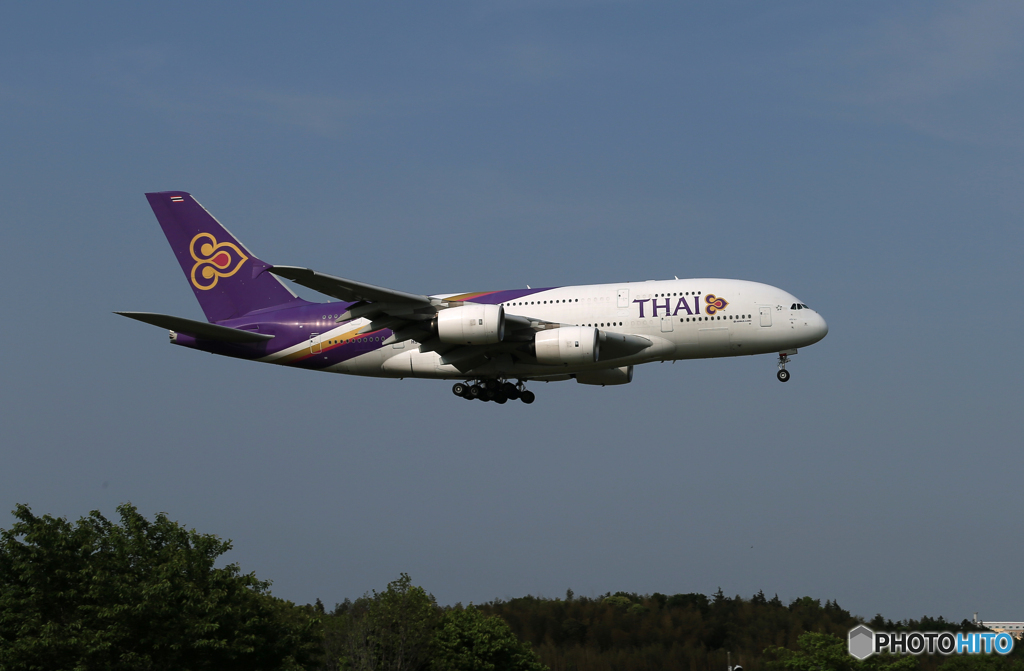 「群青」THAI A380-841 HS-TUE Landing 