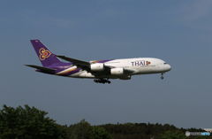 「群青」THAI A380-841 HS-TUE Landing 