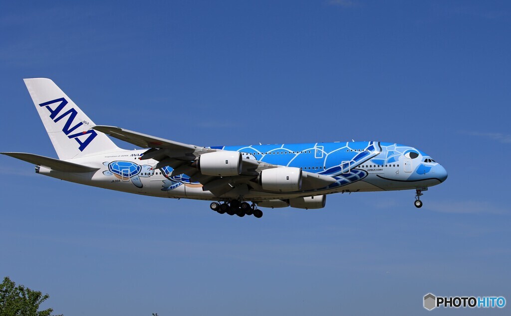 「群青」ANA Flying Honu A380-841 通過