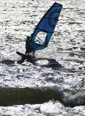 「青空」東京湾　荒波のウインドサーフィン