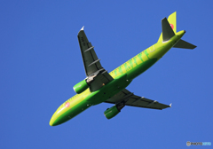 「SKY」 S7 A320-214 VQ-BOA 離陸