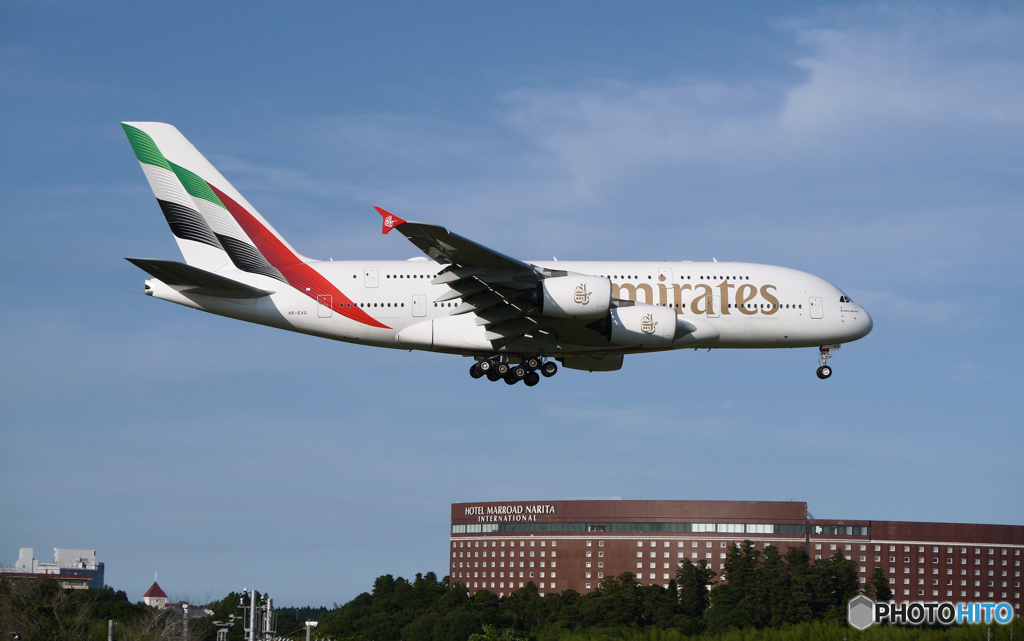 「青が大好き」☮さくらの山・ A380が飛ぶ ✈