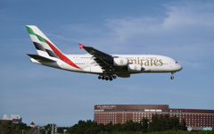 「青が大好き」☮   Airbus A380が飛ぶ・さくらの山 ✈