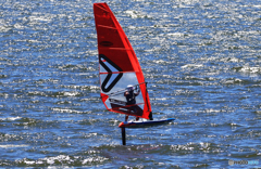 「スカイ」今日も気持ちがいいね