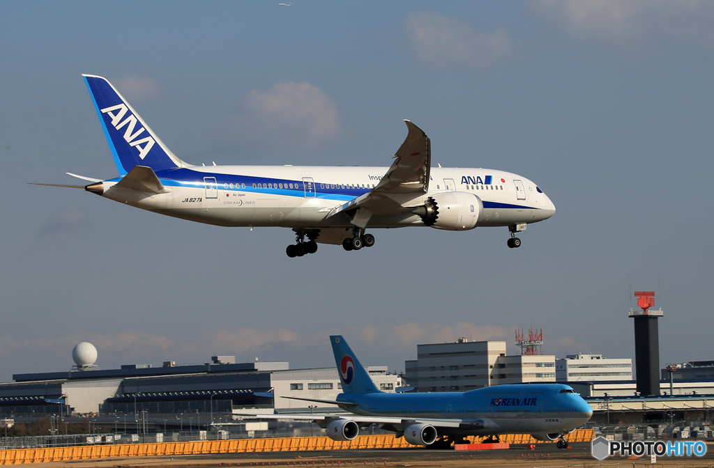 「真青の空」 ANA 787-8 JA827A  Landing 
