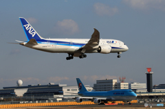 「真青の空」 ANA 787-8 JA827A  Landing 