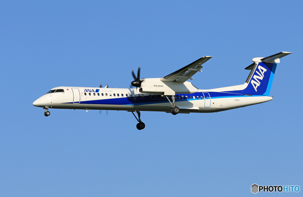 「真青の空」 ANA DHC-8-400 JA465A 着地前