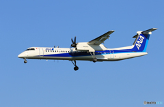 「真青の空」 ANA DHC-8-400 JA465A 着地前