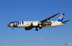 「すかい」 STAR WARS 787-8 JA873A Landing 