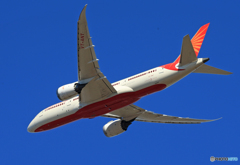 「群青」 Air India 787-8 VT-ANT 離陸