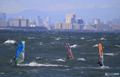 「蒼空」東京湾のビルをバックに・ウインドサーフィン、東京都庁ビルも見える！