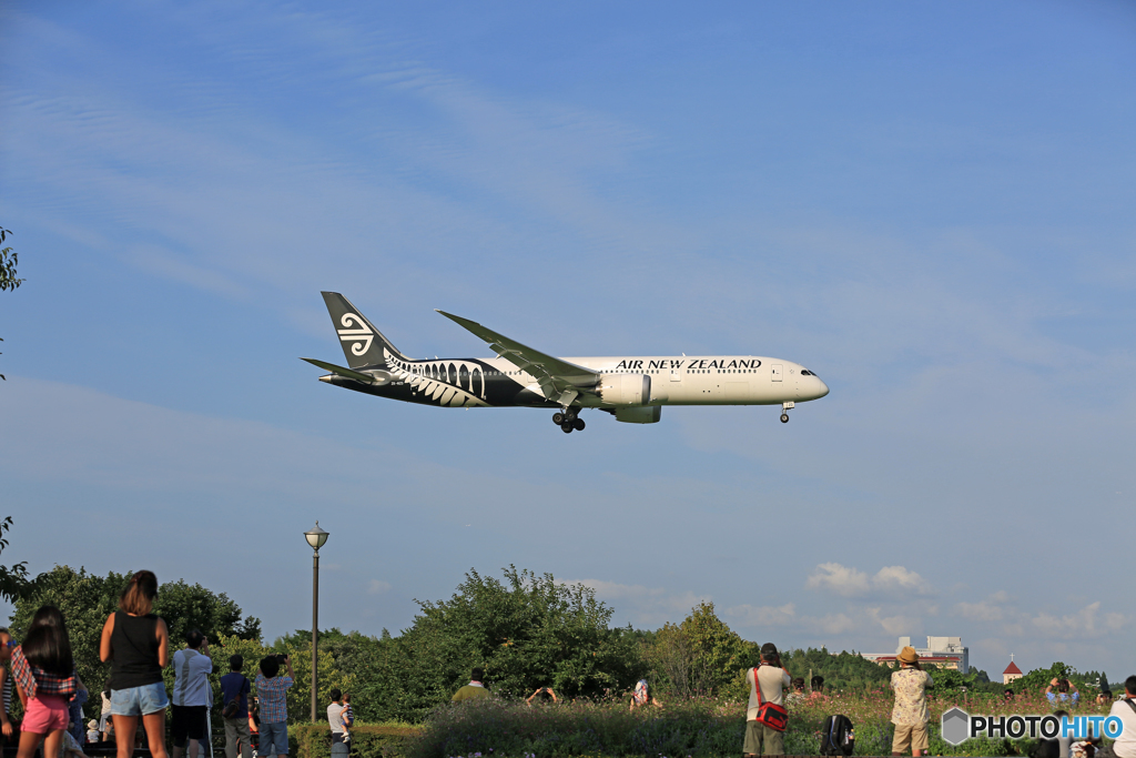「青色が好き」 Air NZ' 787-9 ZK-NZD 来たあ～