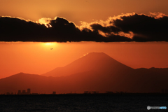 「クール」☮ 富士山と東京湾の夕焼け・飛行機✈