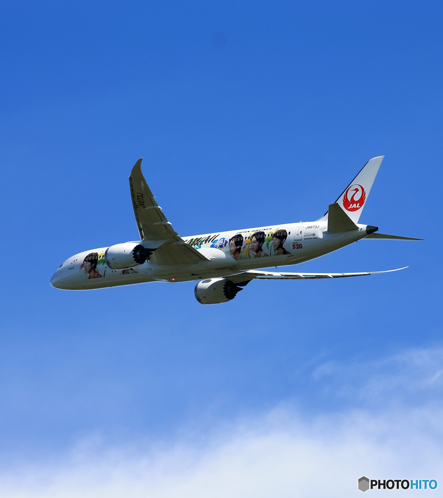 「SKY」JAL 嵐JET 787-9 JA873J　出発