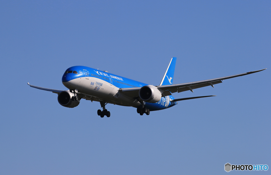 「青い日」厦門787-9 B-1356 Landing