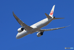 「Blue」 JAL 787-9 JA861J Takeoff