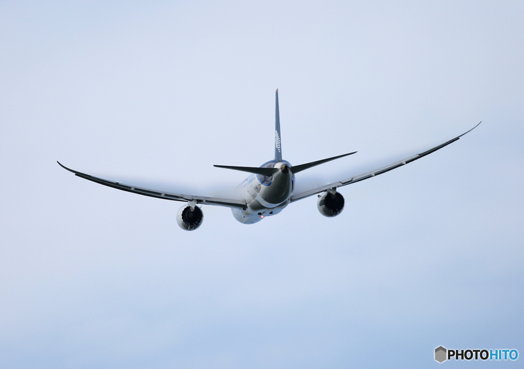 ☮AEROMEXICO 787-8  ☮ほんわか・ベイパー!