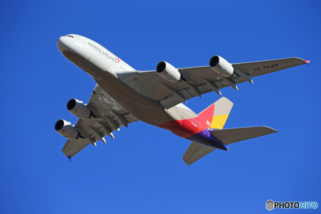 「群青」 ASIANA A380-841 HL7640 離陸します