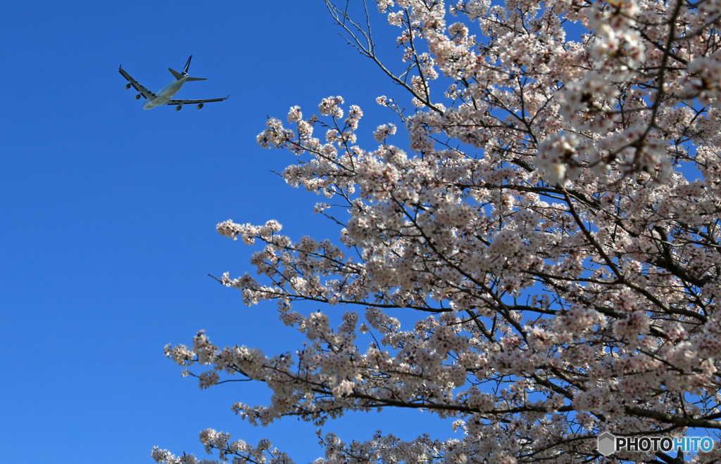 ☀「青い空」が一番 ✈キャセイ・ジャンボ出発です