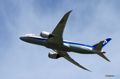 「青色」ANA 787-8 JA802A 元・鯖塗装　出発です