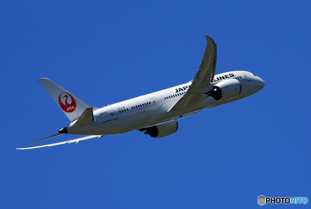  「晴れ」JAL 787-8 JA841J Takeoff  