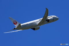  「晴れ」JAL 787-8 JA841J Takeoff  