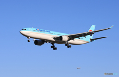 「あおいそら」Korean A330-323 HL8025  Landing
