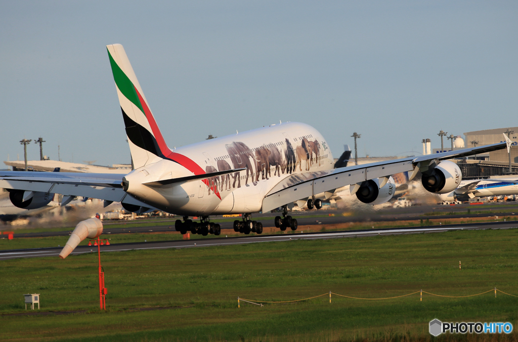 「Blue」エミレーツ特別塗装　A380 動物愛護機