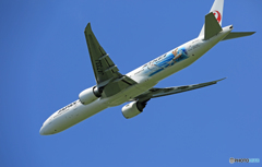 「ぶるー」 JAL JET KEI 777-346 JA733J 出発