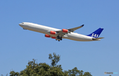 ☀「青い空」が一番SAS A340-313 LN-RKF Takeoff