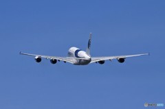 「青が好き」Malaysia A380-841 9M-MNC 