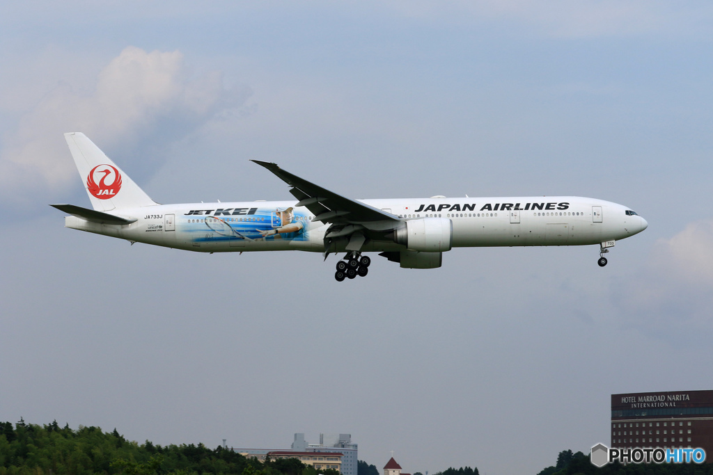 「お盆です」 JAL 「JET KEI」７７７来た～