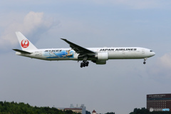 「お盆です」 JAL 「JET KEI」７７７来た～