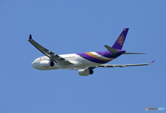 ☀「青い空」が一番 THAI A330-343 HS-TBF