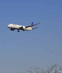 「空色」UNITED 787-9 N24972   ダブル・Landing