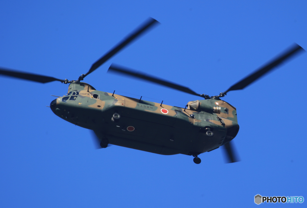 「Bule』 ヘリコプター ・チヌーク CH-47J  飛ぶ