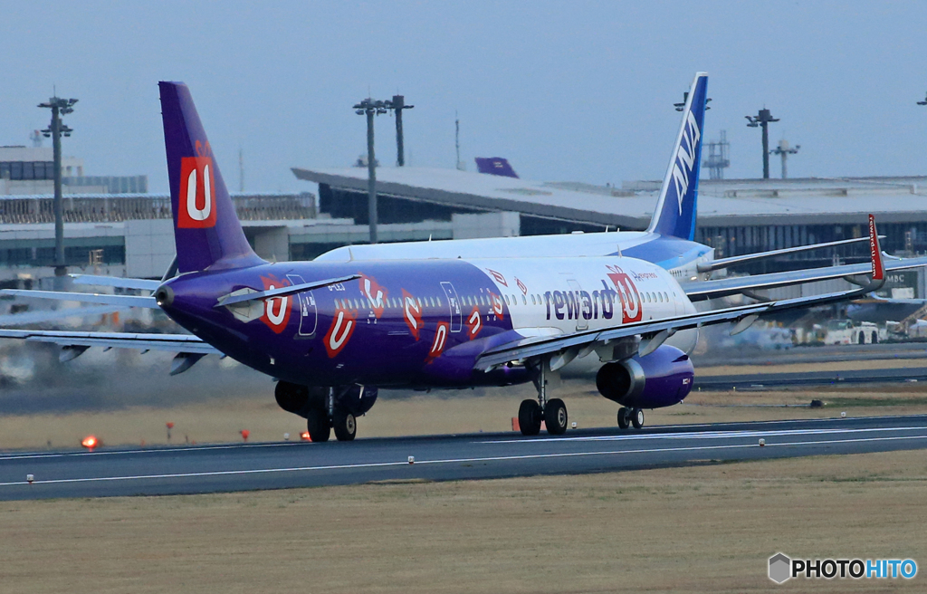 「群青色」香港エキスプレス特別塗装A321-231飛び立ち