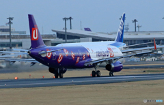 「群青色」香港エキスプレス特別塗装A321-231飛び立ち