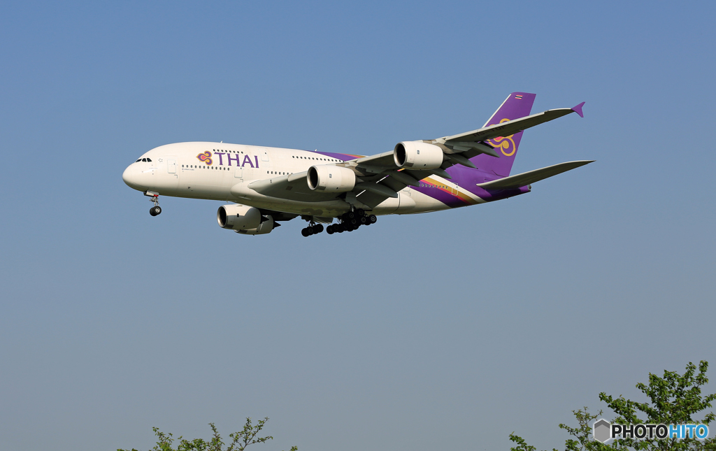 「青色が好き」  Thai A380-841 HS-TUF 到着です