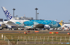 「青が好き」ANA Flying Honu A380-841 良いお年を