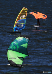 「青が好き」風と友達になって