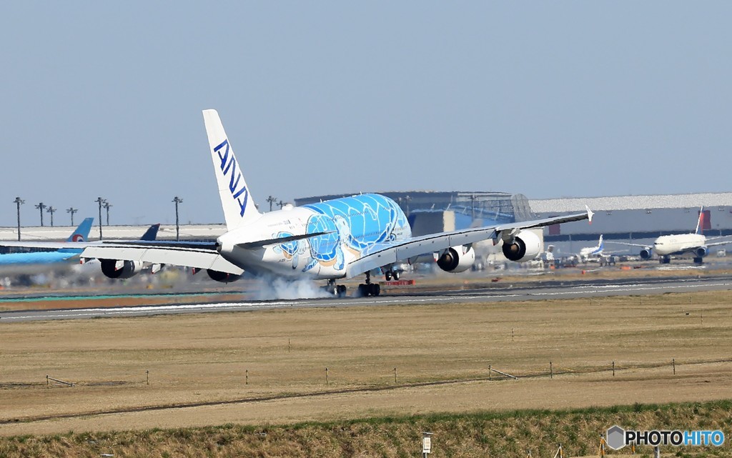 「青亀」 ✈さ く ら の 山 は ・満 開 で し た ?!  