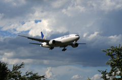 「青が大好き」UNITED 777-222 N221UA 到着