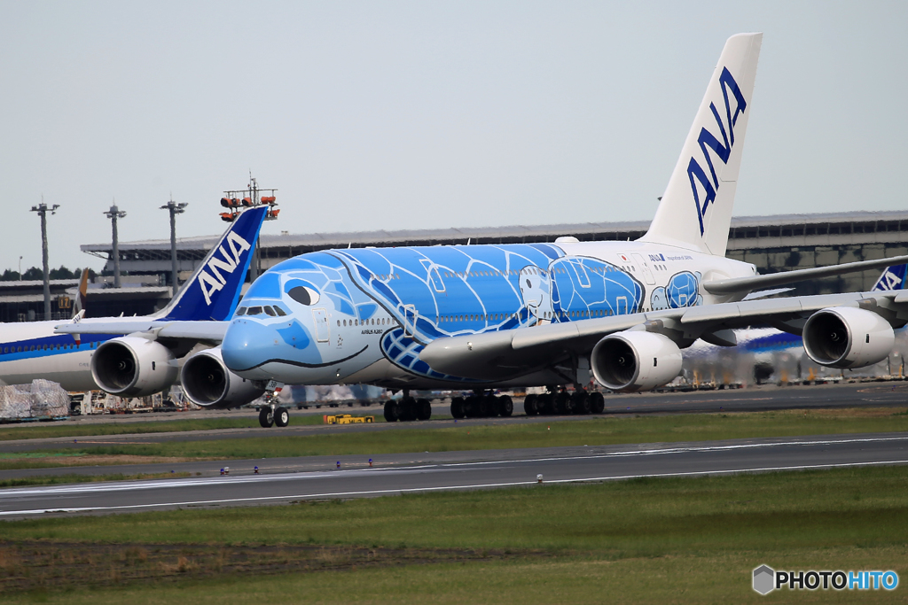 「空色」 A380-841 「Flying Honu」 出発