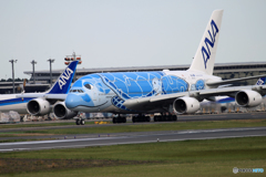 「空色」 A380-841 「Flying Honu」 出発